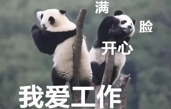在沃恩工作 在沃恩工作